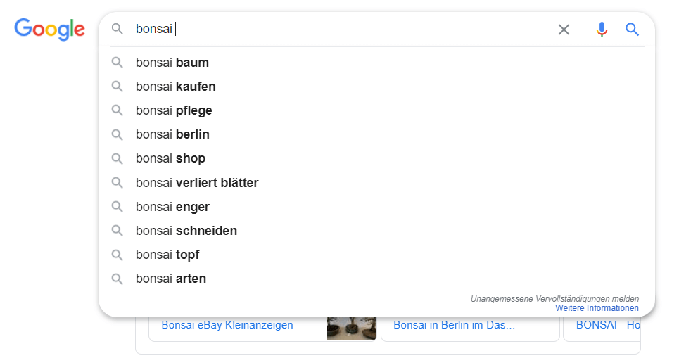 Screenshot: Themenrecherche mit Google Suggest